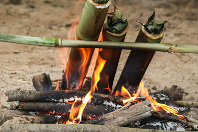 Close-up of bonfire on wooden log