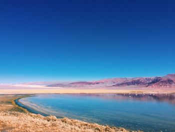 Scenic view of lake against clear blue sky