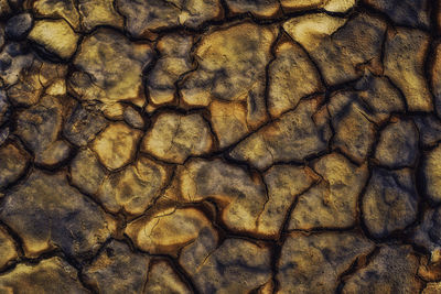 Full frame shot of cracked land