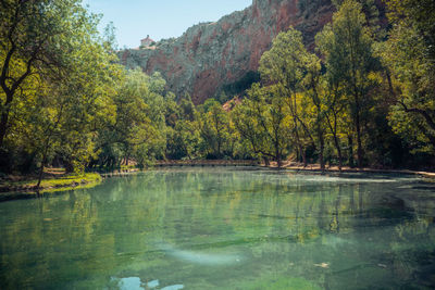 Scenic view of lake in forest