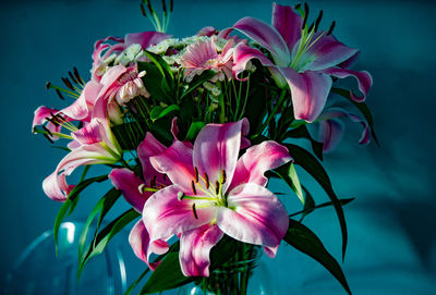 Close-up of pink stargazer lily