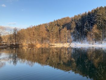 Reflection of trees in lake against sky