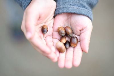 Close-up of cropped hand holding food