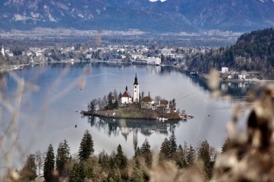 High angle view of lake by trees against sky