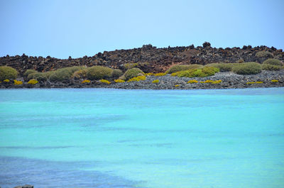 Scenic view of sea against clear blue sky