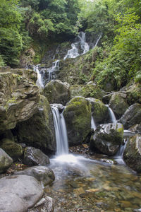 View of waterfall in forest