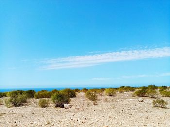 Scenic view of beach against blue sky