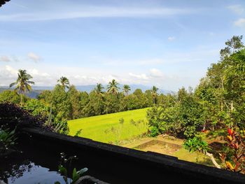 Scenic view of trees against sky