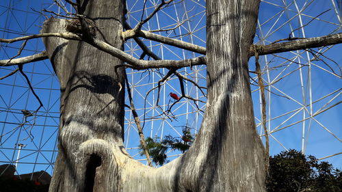 Low angle view of bare tree against sky