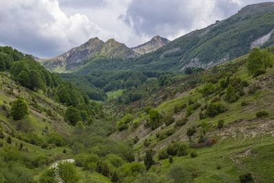 Scenic view of green landscape and mountains against sky