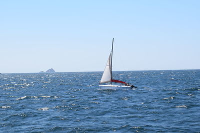 Sailboat sailing on sea against clear sky