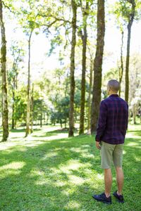 Rear view of man walking in forest