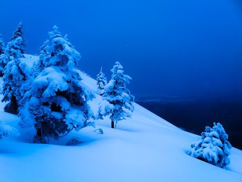 Snow covered land and trees against blue sky