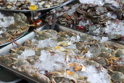 High angle view of fish for sale in market