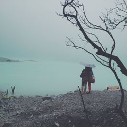 Full length of woman walking on bare tree