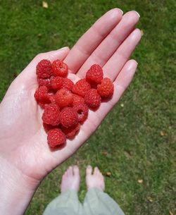 Close-up of woman holding raspberries