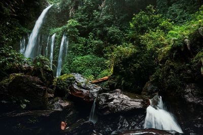 View of waterfall in forest