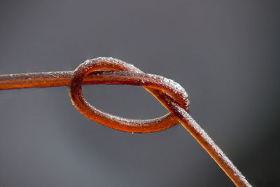 Close-up of tied metal against gray background