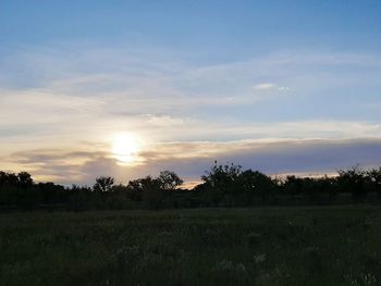 Scenic view of field against sky during sunset