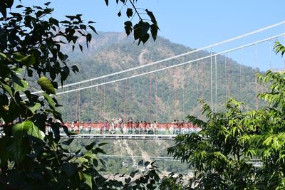 Bridge by trees against sky