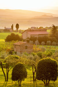 Garden at sunset with houses