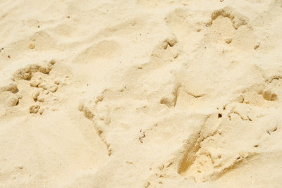 sand
