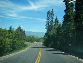 Empty road amidst trees against sky