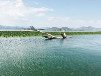 Scenic view of lake against sky