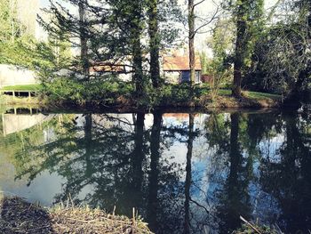 Reflection of trees in lake against sky