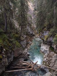 Stream flowing through rocks in forest