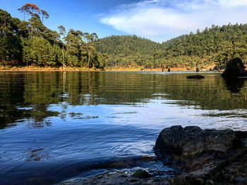 Scenic view of lake in forest against sky