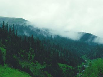 Scenic view of trees and mountains against sky