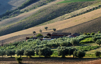 Landscape of agricultural countryside in abruzzo, italy