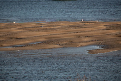 High angle view of beach