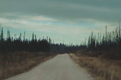 Dirt road amidst plants and trees against sky