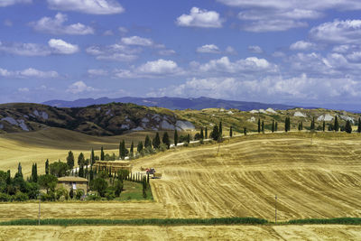 Scenic view of agricultural field against sky