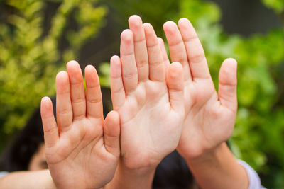 Cropped hands of women against tree