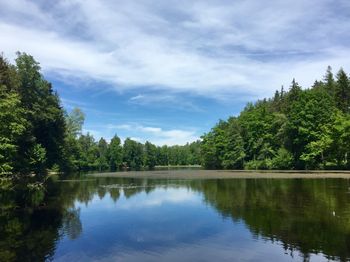 Reflection of trees in lake