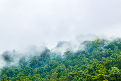 Scenic view of the mountain and trees against the sky