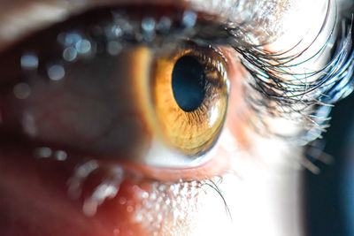 Close-up of human eye