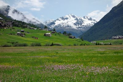 Scenic view of field and mountains against sky