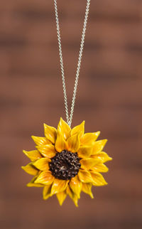 Close-up of yellow flower