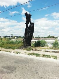 Man by tree against sky