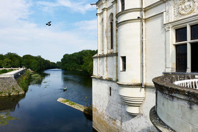 Bird flying over river by building against sky