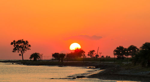 Silhouette palm trees on beach against orange sky