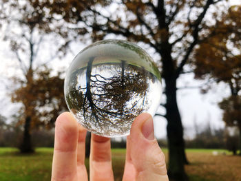 Midsection of person holding crystal ball with reflection of trees