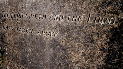 Close-up of text on wall