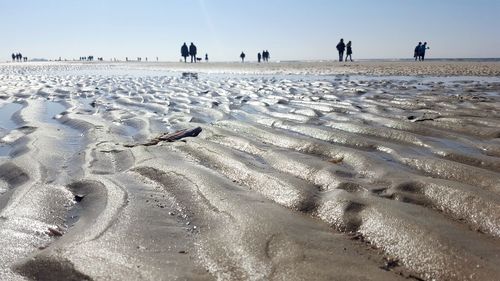 View of tire tracks on beach