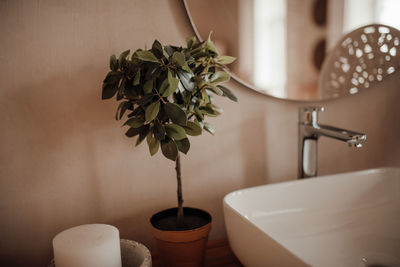 Luxury interior of big bathroom at modern african style with oval bathtub in natural lighting