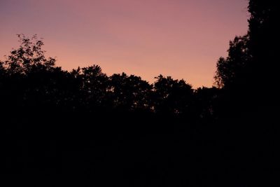 Silhouette trees against sky during sunset